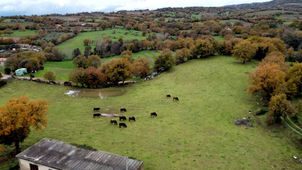 la campagna di atzara