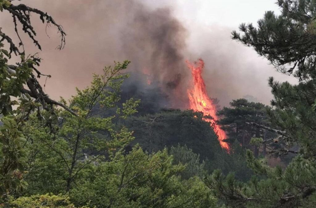 In Sardigna fogus meda de pissu a giossu